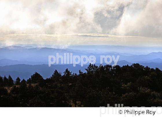 PAYSAGE SUR L' EST DES CEVENNES DEPUIS LE   MONT AIGOUAL , GARD, LANGUEDOC. (30F00208.jpg)