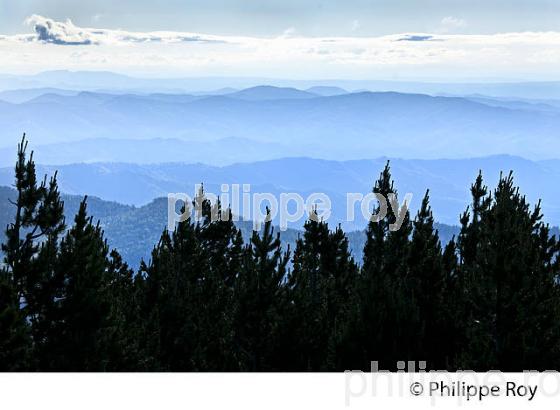 PAYSAGE SUR L' EST DES CEVENNES DEPUIS LE   MONT AIGOUAL , GARD, LANGUEDOC. (30F00214.jpg)