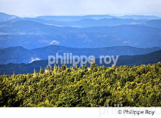 PAYSAGE SUR LE NORD EST  DES CEVENNES DEPUIS LE   MONT AIGOUAL , GARD, LANGUEDOC. (30F00216.jpg)