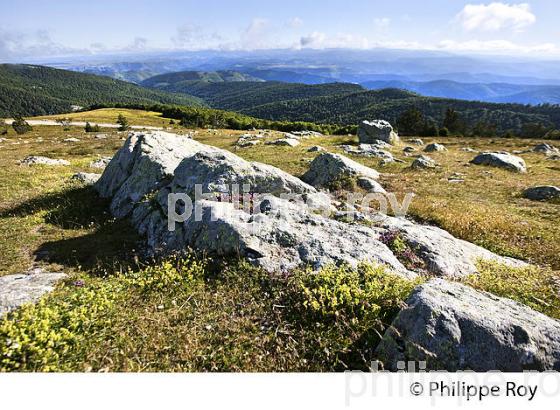 SOMMET DU MONT AIGOUAL ET PAYSAGE SUR LE NORD  DES CEVENNES ,  GARD, LANGUEDOC. (30F00218.jpg)