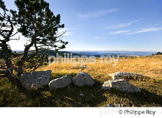 SOMMET DU MONT AIGOUAL ET PAYSAGE SUR L' OUEST  DES CEVENNES ,  GARD, LANGUEDOC. (30F00223.jpg)