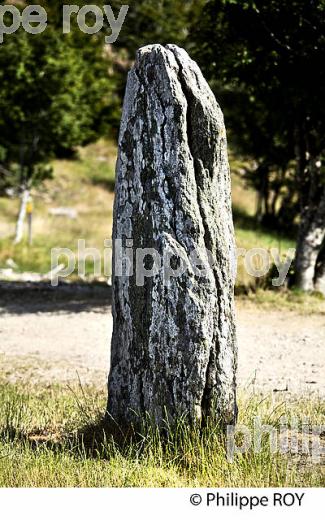 LE MENHIR TREPALOUP, MONT AIGOUAL,  PAYSAGE   DES CEVENNES ,  GARD, LANGUEDOC. (30F00235.jpg)