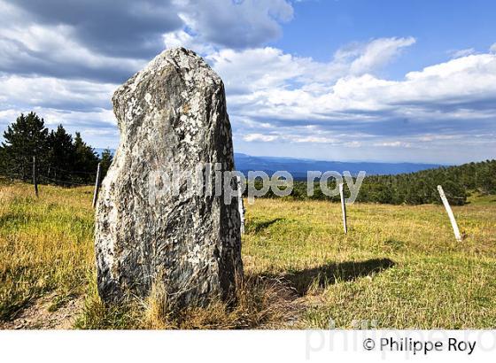 LE MENHIR TREPALOUP, MONT AIGOUAL,  PAYSAGE   DES CEVENNES ,  GARD, LANGUEDOC. (30F00240.jpg)