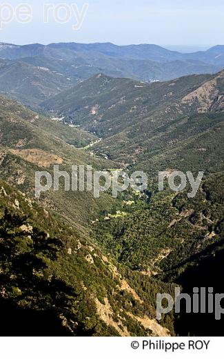 VALLEE DE L' HERAULT  ET MASSIF DU  MONT AIGOUAL , VALLERAUGUE,  CEVENNES , GARD, LANGUEDOC. (30F00310.jpg)