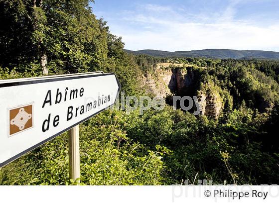 L' ABIME DE BRAMABIAU, MASSIF DE L' AIGOUAL, CEVENNES, GARD. (30F00315.jpg)