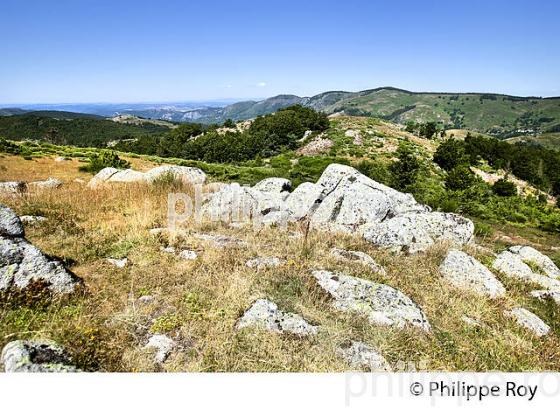 BLOCS DE GRANITE    ET PAYSAGE DU MASSIF DE L'  AIGOUAL ,  CEVENNES , COMMUNE DE DOURBIES, GARD. (30F00431.jpg)