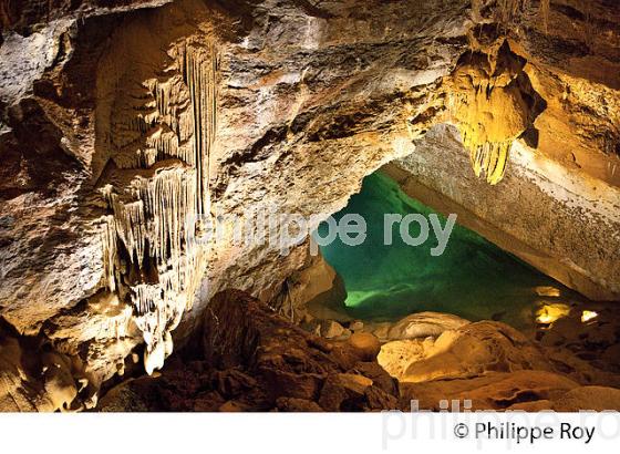 LA GROTTE DE TRABUC, COMMUNE DE MIALET , VALLEE DU GARDON DE MIALET,  CEVENNES, GARD. (30F00602.jpg)