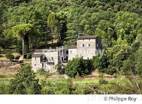 MAISON CEVENOLE, VALLEE DU GARDON DE MIALET, COMMUNE DE MIALET, CEVENNES, GARD. (30F00604.jpg)
