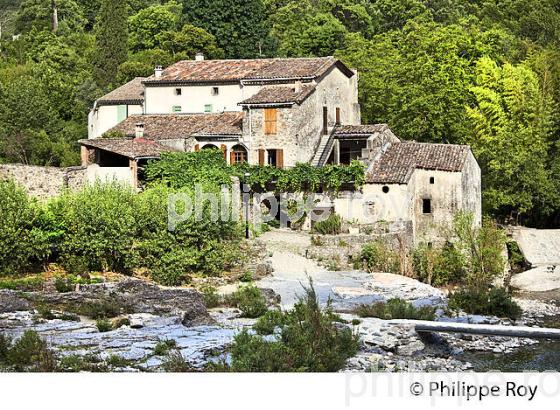 MOULIN DE LA BONTE, MAISON CEVENOLE, VALLEE DU GARDON DE MIALET, COMMUNE DE MIALET ,  CEVENNES , GARD. (30F00606.jpg)