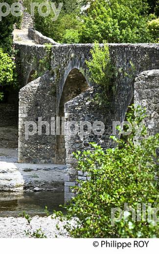 LE PONT DES CAMISARDS SUR LE  GARDON DE MIALET, COMMUNE DE MIALET , CEVENNES , GARD. (30F00611.jpg)