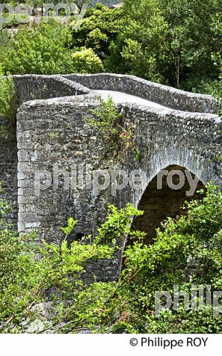 LE PONT DES CAMISARDS SUR LE  GARDON DE MIALET, COMMUNE DE MIALET , CEVENNES , GARD. (30F00612.jpg)