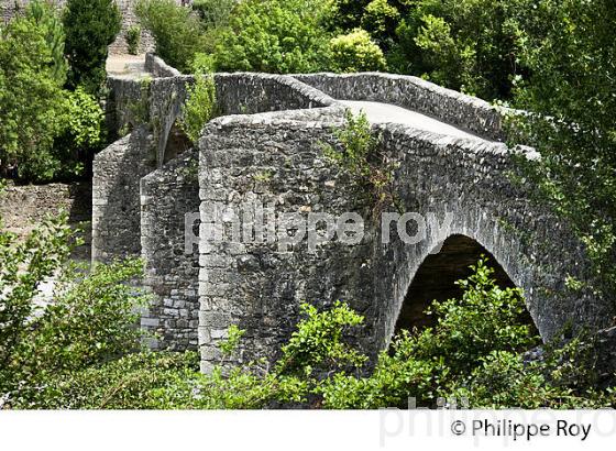 LE PONT DES CAMISARDS SUR LE  GARDON DE MIALET, COMMUNE DE MIALET , CEVENNES , GARD. (30F00620.jpg)