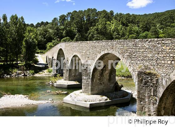 PONT VIEUX  SUR LE GARDON SAINT-JEAN, SAINT-JEAN-DU-GARD , VALLEE BORGNE, CORNICHE DES   CEVENNES , GARD. (30F00707.jpg)