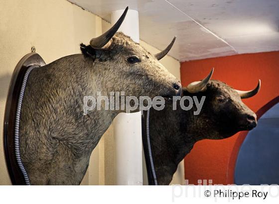 MUSEE TAURIN, ESPACE PABLO ROMERO, NIMES, GARD, LANGUEDOC. (30F01211.jpg)