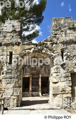 LE TEMPLE DE DIANE,  JARDINS DE LA FONTAINE,  VILLE DE NIMES ,  GARD, LANGUEDOC. (30F01410.jpg)