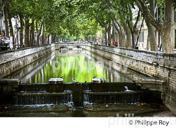 CANAL DE LA FONTAINE ,  VILLE DE NIMES ,  GARD, LANGUEDOC. (30F01427.jpg)