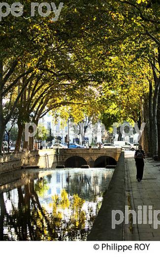 CANAL DE LA FONTAINE ,  VILLE DE NIMES ,  GARD, LANGUEDOC. (30F01428.jpg)