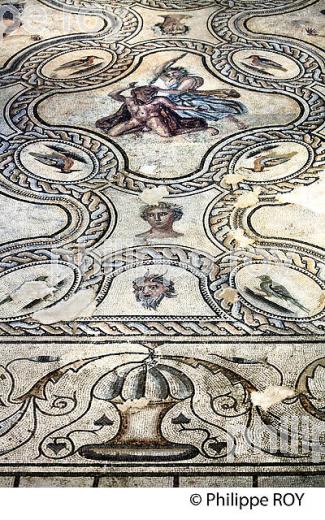 MOSAIQUE ROMAINE, MUSEE DE LA ROMANITE,   NIMES, GARD, LANGUEDOC. (30F01714.jpg)