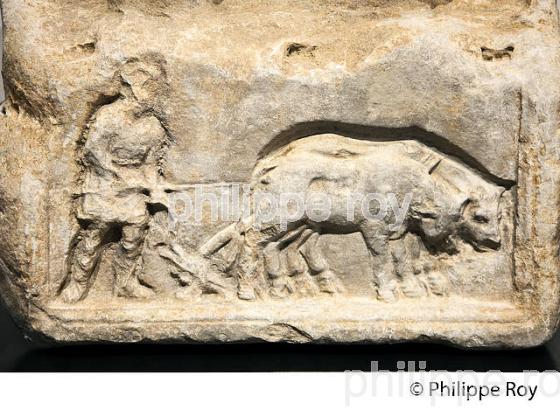 STELE FUNERAIRE, MUSEE DE LA ROMANITE,   NIMES, GARD, LANGUEDOC. (30F01725.jpg)