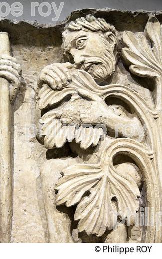 LE MUSEE DE LA ROMANITE,   NIMES, GARD, LANGUEDOC. (30F01733.jpg)