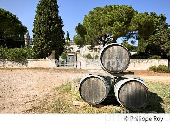 CHATEAU VALCOMBE, VIN DES  COSTIERE DE NIMES, GENERAC, GARD, LANGUEDOC. (30F01931.jpg)