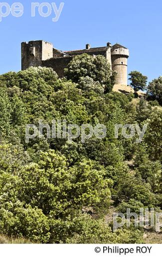 CHATEAU FEODAL DU CHEYLARD, VILLAGE CEVENOL D' AUJAC,  VALLEE DE LA CEZE, CEVENNES, GARD. (30F02013.jpg)