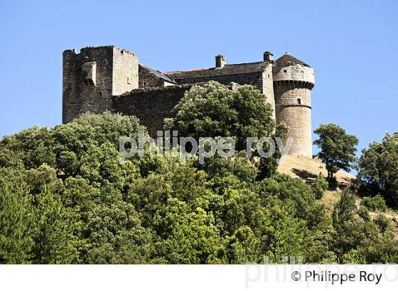 CHATEAU FEODAL DU CHEYLARD, VILLAGE CEVENOL D' AUJAC,  VALLEE DE LA CEZE, CEVENNES, GARD. (30F02015.jpg)