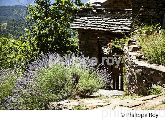 LA CLEDE DE PEYRIC, FERME CEVENOLE, AUJAC,  VALLEE DE LA CEZE, CEVENNES, GARD. (30F02034.jpg)