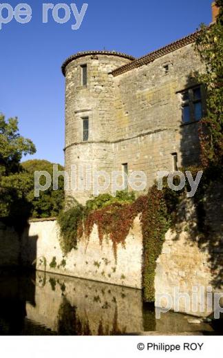 Loubens Lauragais - Haute Garonne (31F01035.jpg)