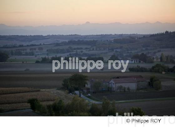 Saint Flix Lauragais - Haute Garonne (31F01101.jpg)