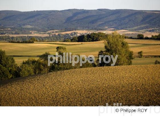 Saint Flix Lauragais - Haute Garonne (31F01105.jpg)