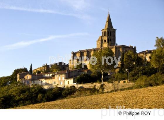 Saint Flix Lauragais - Haute Garonne (31F01106.jpg)