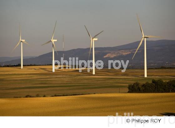 Saint Flix Lauragais - Haute Garonne (31F01127.jpg)