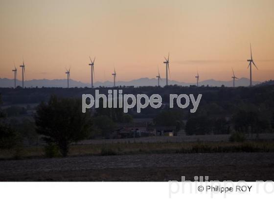 Saint Flix Lauragais - Haute Garonne (31F01137.jpg)