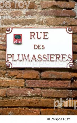 Montesquieu Lauragais - Haute Garonne (31F01237.jpg)