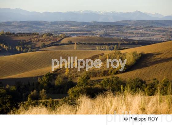 Carbonne  - Haute Garonne (31F01437.jpg)