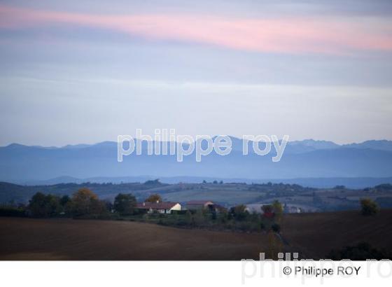 Carbonne  - Haute Garonne (31F01440.jpg)