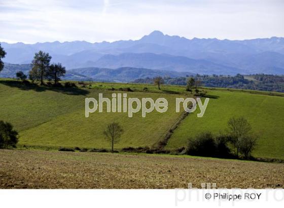 Montbrun Bocage - Haute Garonne (31F01631.jpg)