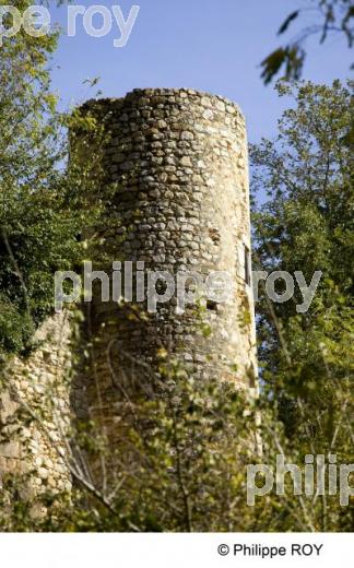 Montbrun Bocage - Haute Garonne (31F01720.jpg)