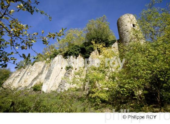 Montbrun Bocage - Haute Garonne (31F01721.jpg)
