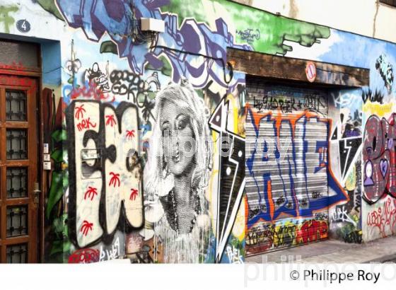 STREET ART, GRAFF SUR MUR DE MAISON, RUE GRAMAT, TOULOUSE. (31F02729.jpg)