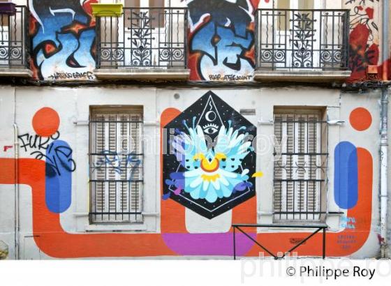 STREET ART, GRAFF SUR MUR DE MAISON, RUE GRAMAT, TOULOUSE. (31F02731.jpg)