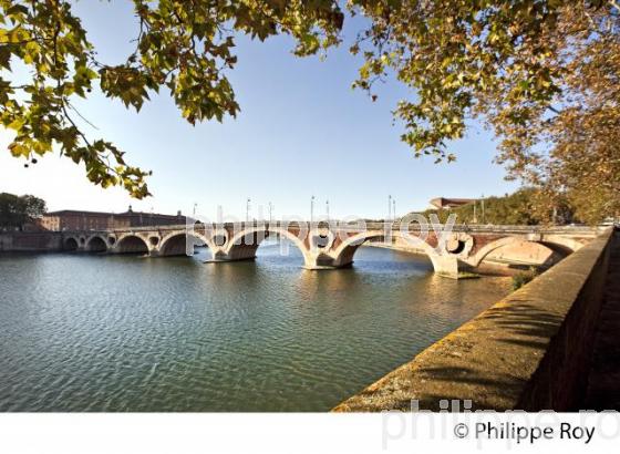 LE PONT NEUF  SUR LA GARONNE, TOULOUSE. (31F03014.jpg)