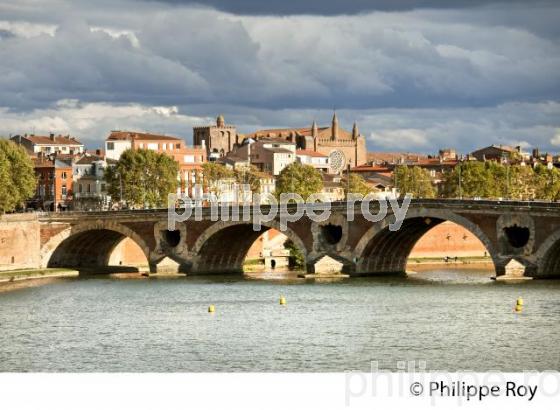 LE PONT NEUF  SUR LA GARONNE, TOULOUSE. (31F03017.jpg)