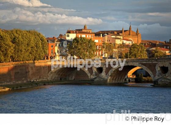 LE PONT NEUF  SUR LA GARONNE, TOULOUSE. (31F03018.jpg)