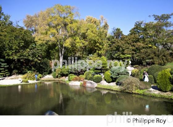 JARDIN JAPONAIS, PARC  DE COMPANS-CAFFARELLI,  QUARTIER CAMPANS, TOULOUSE, (31F03227.jpg)