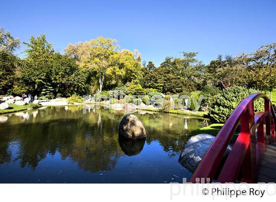 JARDIN JAPONAIS, PARC  DE COMPANS-CAFFARELLI,  QUARTIER CAMPANS, TOULOUSE, (31F03228.jpg)