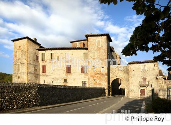 CHATEAU  DE PALAMINY, VILLAGE PALAMINY, VALLEE DE LA  LA GARONNE,  VIA GARONA, COMMINGES. (31F03806.jpg)