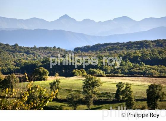 LES PETITES PYRENEES, COMMUNE  D' ALAN, COMMINGES, HAUTE-GARONNE. (31F03840.jpg)