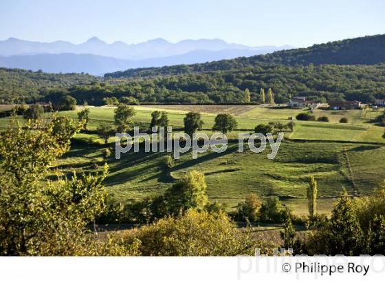 LES PETITES PYRENEES, COMMUNE  D' ALAN, COMMINGES, HAUTE-GARONNE. (31F03901.jpg)